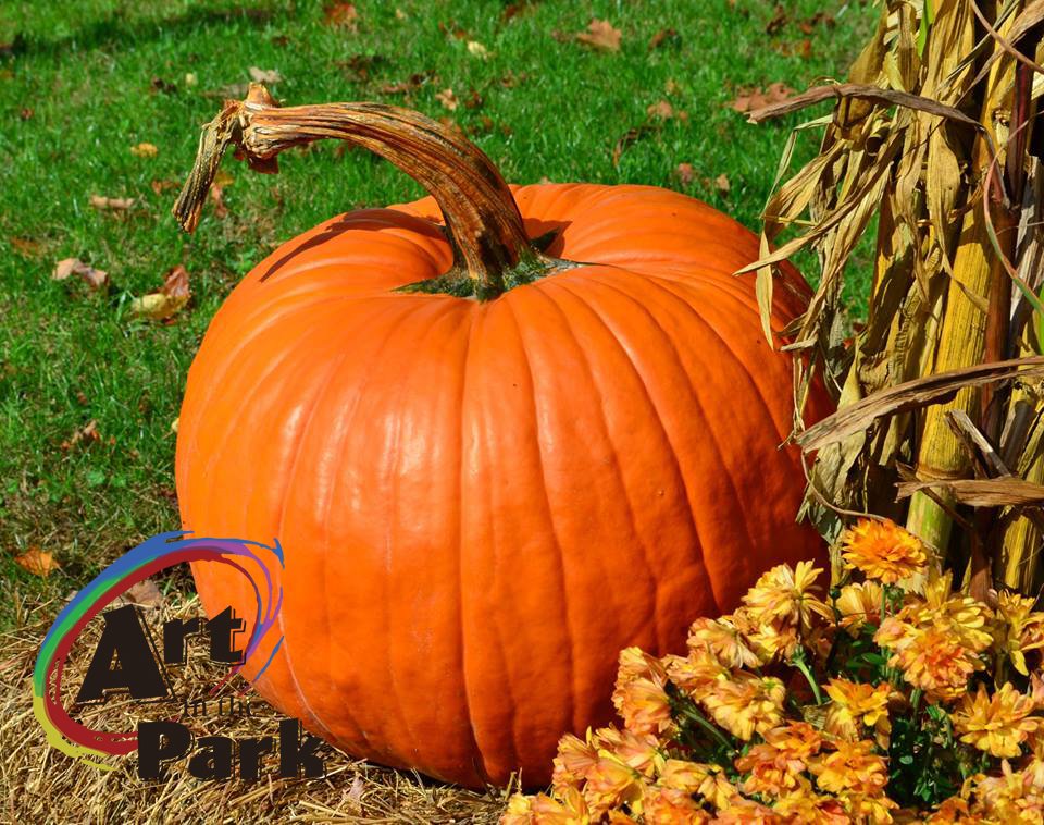 Pumpkins, mums and cornstalks close-up.