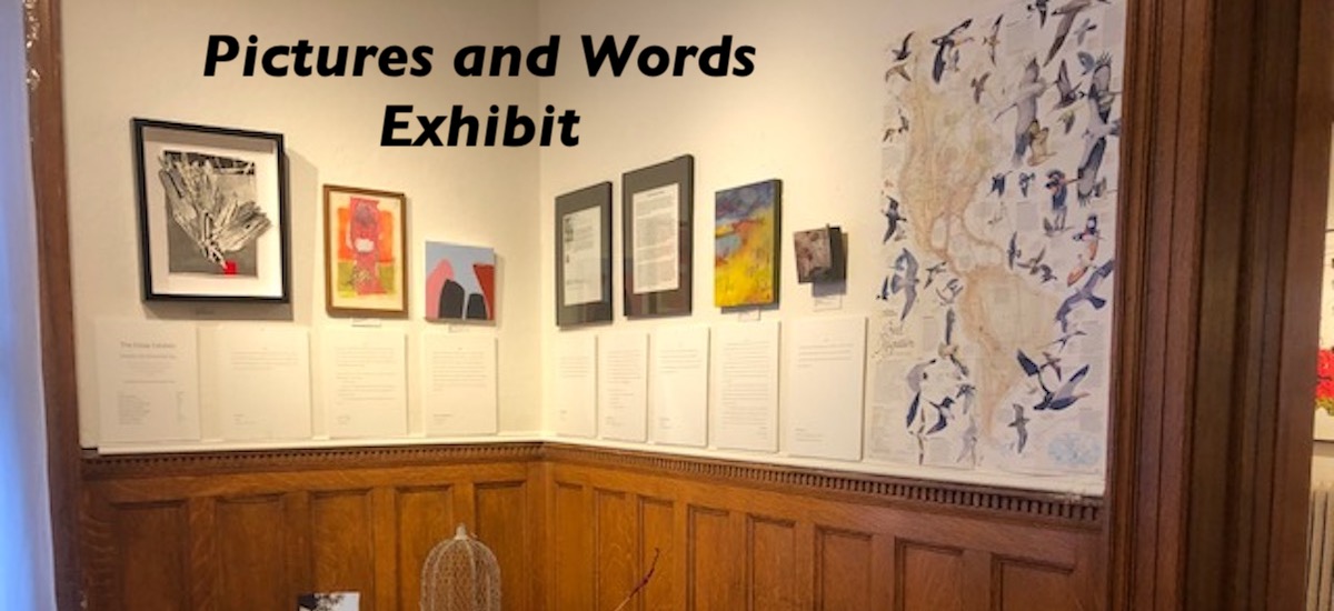 Pictures and Words Exhibit
