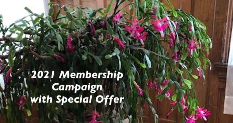 2021 Membership Campaign with Special Offer