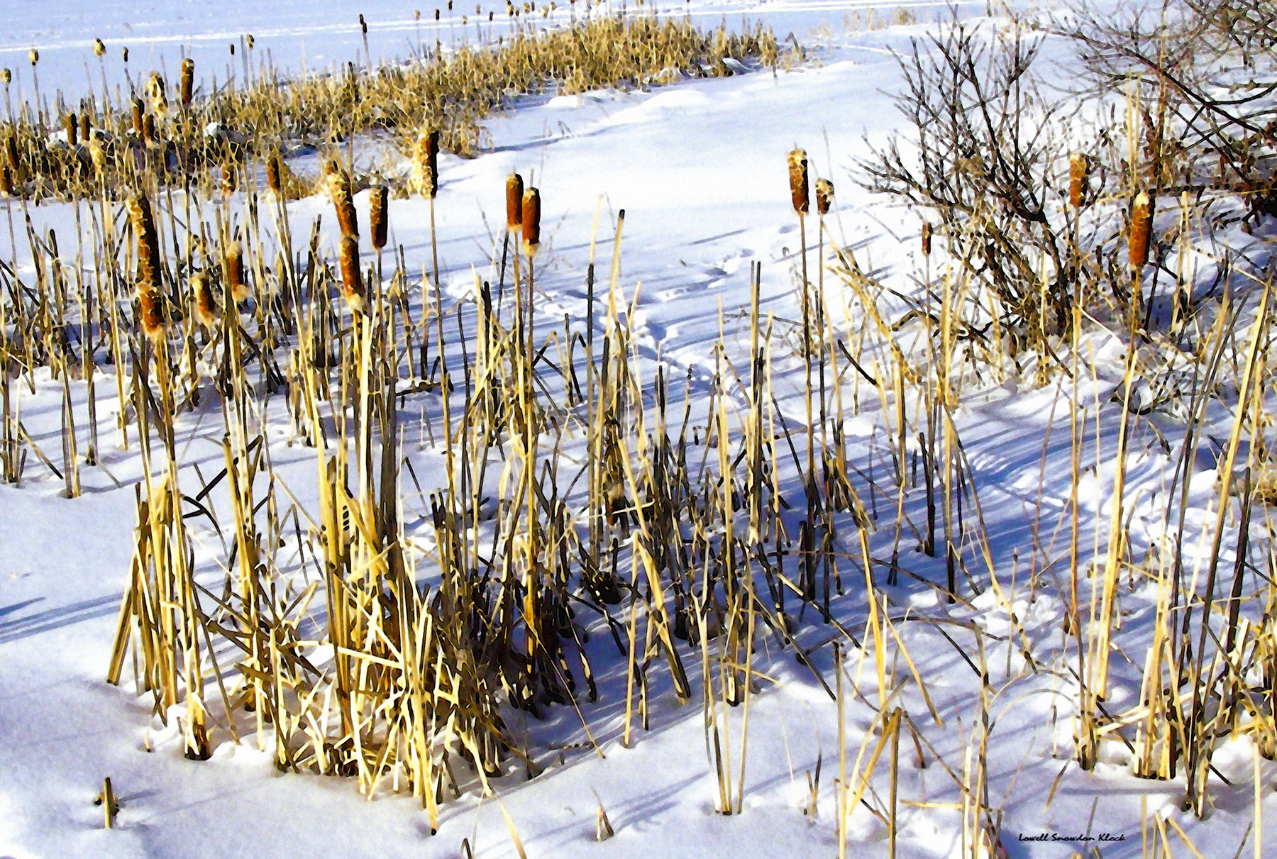 ‘Baby, It’s Cold Outside’: Black History Month meets Vermont winter