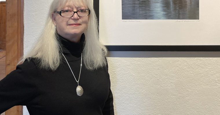 Chaffee Artist of the Month: Susan Wacker-Donle