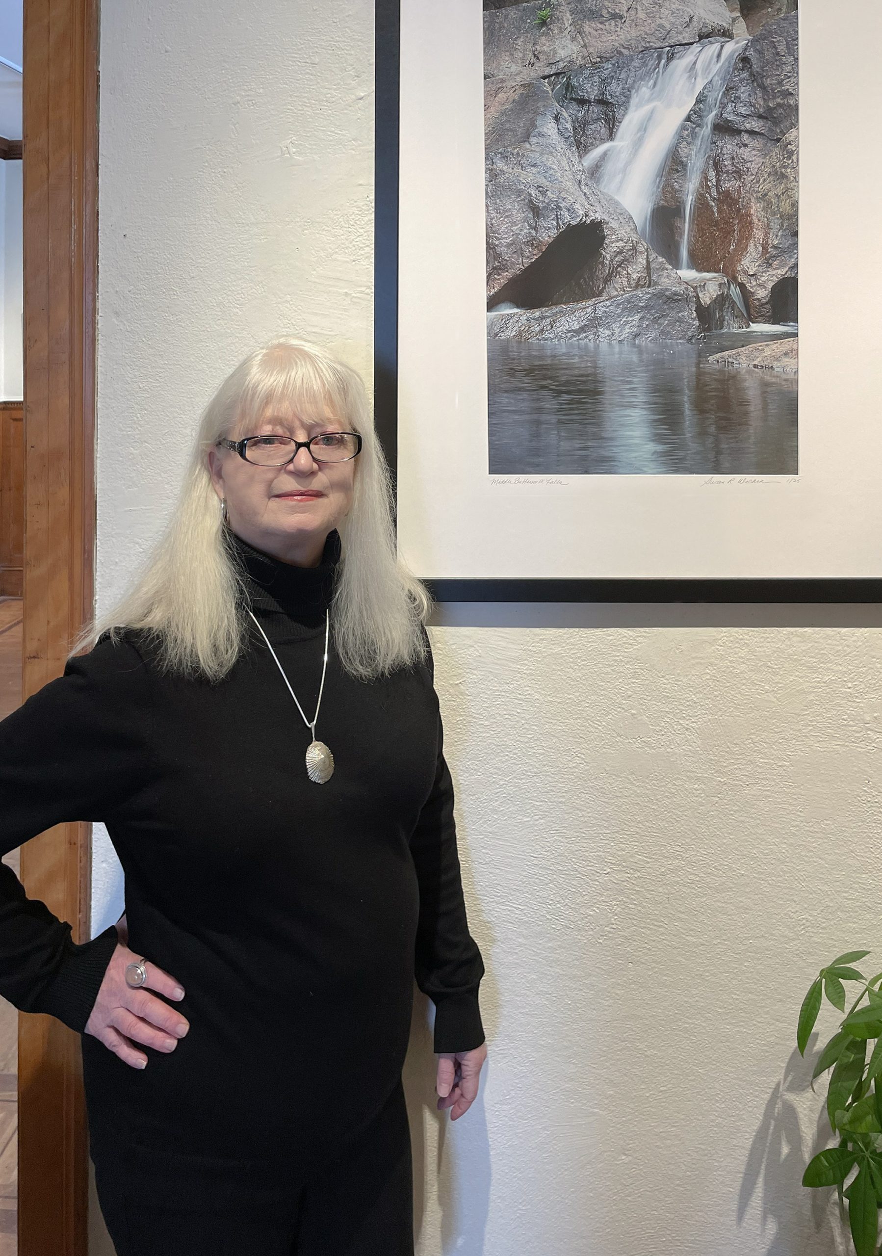 Chaffee Artist of the Month: Susan Wacker-Donle