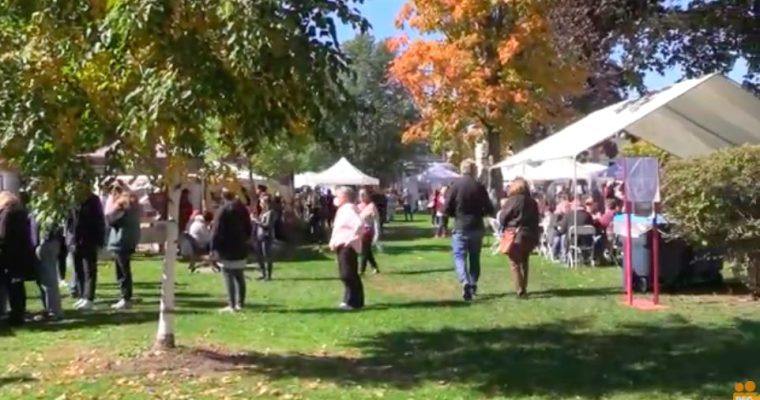 Art in the Park Fall Foliage Festival just days away!