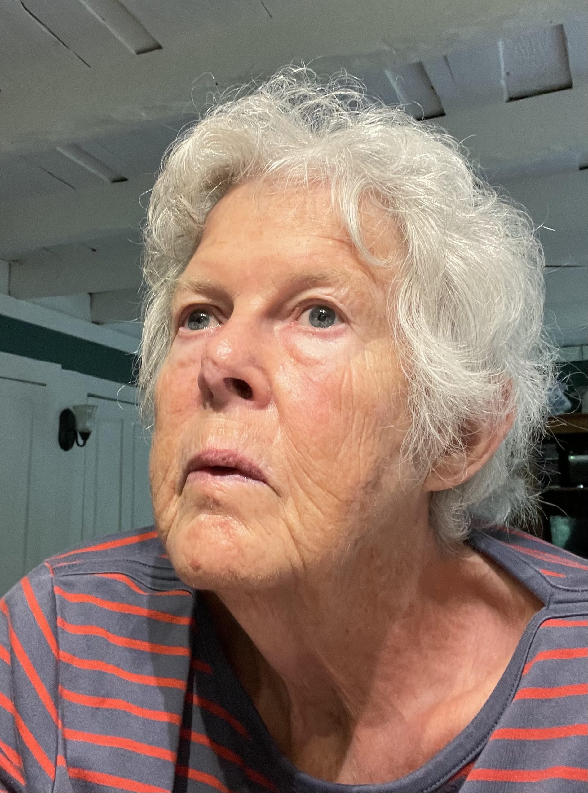 Ruth Ann Barker – Chaffee Art Center