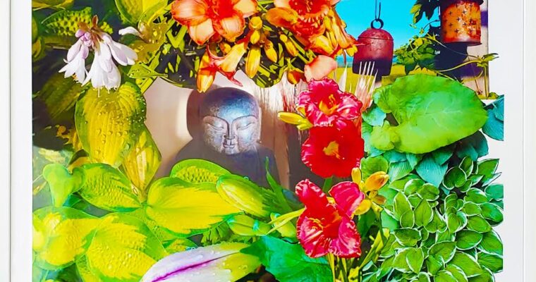 FREE — Connections: Flora, Fauna, and You!