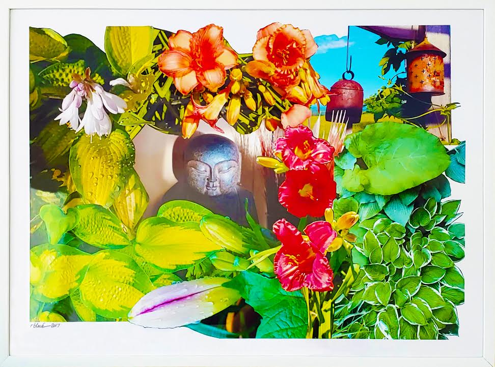 FREE — Connections: Flora, Fauna, and You!