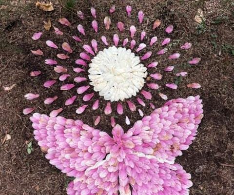 The Power of Tiny Art in Nature