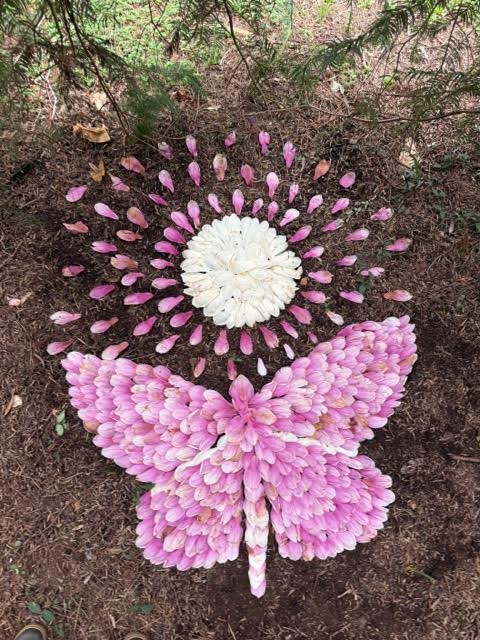 The Power of Tiny Art in Nature